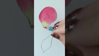 Watercolor Pencils HACK for beautiful details [upl. by Carrington848]