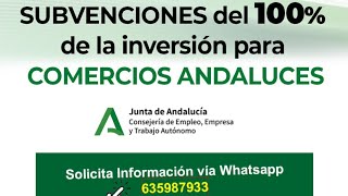 Subvenciones 100 de la inversión PYMES comerciales y artesanas de Andalucía 2024 hasta 60000€ [upl. by Sivia]