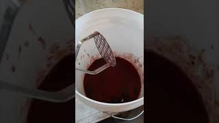 In this video I start a new batch of blueberry mead 🍾🫐 shorts mead winemaking love DeziakMead [upl. by Rehnberg829]