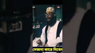 সেজদা কারে দিবেন  allama delwar hussain saidi waz দেলোয়ারহোসাইনসাঈদী delowarhossainsaidi [upl. by Awad631]