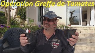 Opération Greffe de Tomates [upl. by Erastatus]