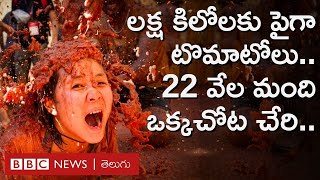 La Tomatina Festival Spainలో లక్ష కిలోలకు పైగా టొమాటోలతో ఈ వేడుక ఎందుకు చేసుకున్నారంటేBBC Telugu [upl. by Colbert]