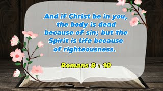 VERSE OF THE DAY NOVEMBER 18 2024 [upl. by Srini]