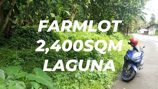 Farmlot 2400sqm Laguna [upl. by Aener]