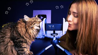 Asmr con mi Gato para DORMIR RONRONEANDO  ASMR Español  Asmr with Sasha [upl. by Lemcke]