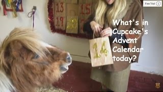 Whats in Cupcakes Advent Calendar today TV Episode 104 [upl. by Giacinta]