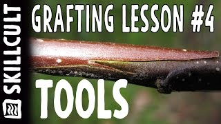 Grafting Series Lesson 4 Tools and Supplies [upl. by Nwahser]