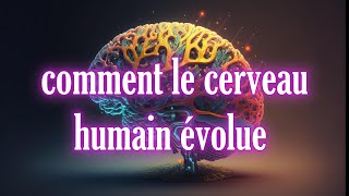 Voici comment le cerveau humain évolue tout au long de la vie [upl. by Yraek]