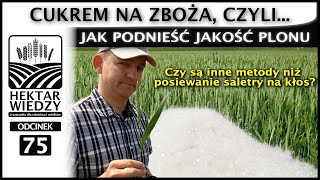 JAK PODNIEŚĆ JAKOŚĆ PLONU  HEKTAR WIEDZY [upl. by Grous]