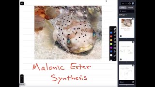 Malonic Ester Synthesis [upl. by Aramad804]