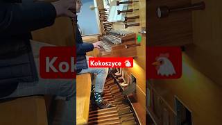 Zbliżam się w pokorze organista organy liturgia [upl. by Fransisco]