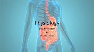 Physiology Digestive system  Pharynx and esophagus [upl. by Ennelram]