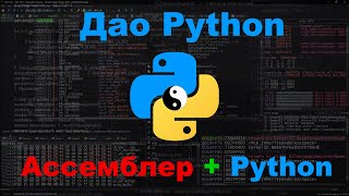 Ассемблер и Python  Дао общих интересов [upl. by Ahsein636]