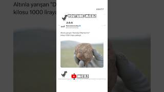 Bu mantarın ismini duyan var mı 😂😂 instagram keşfet trend funny twitter youtube trend [upl. by Olsen]