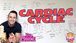 Cardiac Cycle [upl. by Bria]