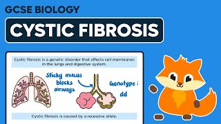 Inherited Disorders Cystic Fibrosis  GCSE Biology [upl. by Aelrac]