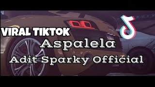 DJ ASPALELA VIRAL TIKTOK❗❗Adit Sparky Official Nwrmxx FULLBASS [upl. by Gail]