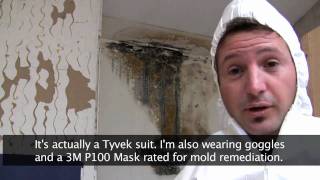 Killing Toxic Black Mold  How to Remove Mold Safely [upl. by Edlyn]