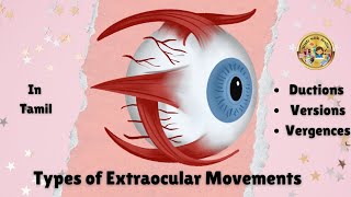 Types of Extra ocular Movements Eyes optometry studywithjeslin  Ductions  Versions  Vergences [upl. by Bilow]