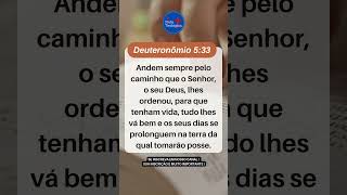 Deuteronômio 533 DeusJesusversiculododia Bíblia Espiritualidade Religião Fé IsraelGospel [upl. by Rowland]