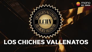 Los Chiches Vallenatos  Ceniza Fría l Audio Oficial [upl. by Annahavas774]