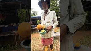 🇱🇰 Rs150 Bael Fruit  බෙලි  வில்வப்பழம்  shorts viral food [upl. by Besnard]