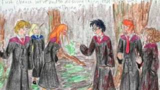 Harry Potter and the Order of Phoenix [upl. by Nivre]