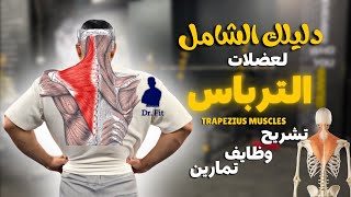 دليلك الشامل لعضلات الترباس  Trapezius Muscles 💪✨👌 [upl. by Cesare692]