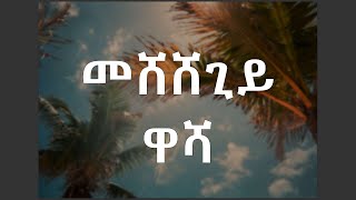 መሸሸጊይ ዋሻ  Instrumental Mezmur [upl. by Tterrej251]