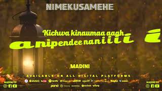 Madini Nimekusamehe  Official Lyrics amp Audio [upl. by Ayotl]