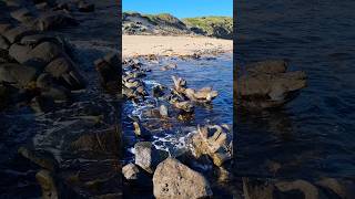 Kilcunda Beach  Victoria Australia rockycliff beach sand travel hike [upl. by Sophia]