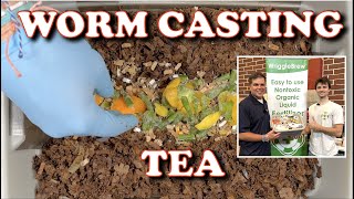 Worm Casting Tea With The WriggleBrew Team  Vermicompost Worm Farm [upl. by Agustin]