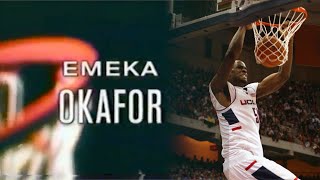 UConn Highlights Emeka Okafor  Freshman Season 20012002 [upl. by Ifar]