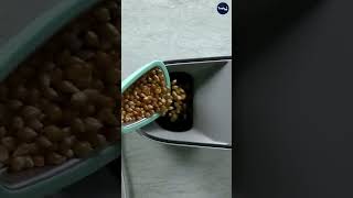 Healthy Popcorn in Minutes Presto PopLite Hot Air Popper Review [upl. by Darra]