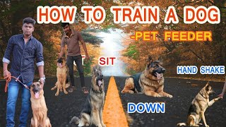 How to train a dog in tamil  How to train a German Shepard dog tamil [upl. by Satsoc128]