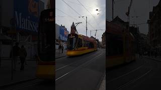 Tramlinie11 tram strassenbahn blt basel city schweiz tramspotting shorts yt [upl. by Suckram]