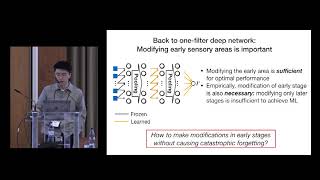 Haozhe Shan  Optimal cortical plasticity in a model of perceptual learning Cosyne 2019 [upl. by Eelrebma553]