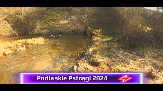 Piękne pstrągi Podlasia Chrzest nowego podbieraka 2024 [upl. by Spiegelman533]