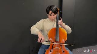 AMEB Cello Series 2 Grade 3 List C No 2  Summertime [upl. by Ellehcyt174]