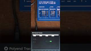 Dreadboxsynths Nymphes  Polyend Tracker  Rinsing Jungle [upl. by Repard]