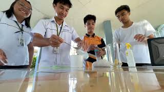 DNA Extraction Video [upl. by Harrak174]