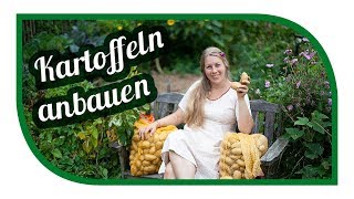 Kartoffeln erfolgreich anbauen 🥔 Im Beet und im Kübel 🥔 Biologisch Ökologisch Nachhaltig [upl. by Alisun]