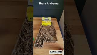 This Share Alabama basket has something for everyone alabamafood snacks alabamagoods [upl. by Blim]