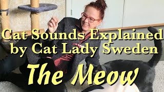 Cat Sounds Explained The Meow [upl. by Frymire206]