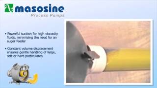 MasoSine Process Pumps [upl. by Gnanmos657]