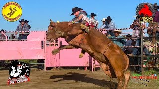 ¡ASÍ SE VIVEN LOS JARIPEOS EN EUA RANCHO EL MORRAL EN FRESNO CALIFORNIA [upl. by Aisilef]