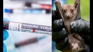 Rwanda Faces Urgent Marburg Virus Outbreak What You Need to Know [upl. by Eiclehc]