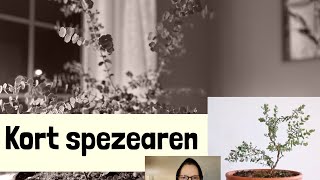 Kort spezearen [upl. by Parthen]