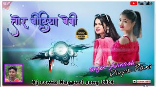 Tor Bindiya Baby Dj Remix Nagpuri Song2024 singerAvinash Nayak amp Divya Rani Bindiya Nagpuri song [upl. by Ylaek540]