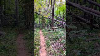 Cedar Ridge Trail  Virginia [upl. by Vitale]